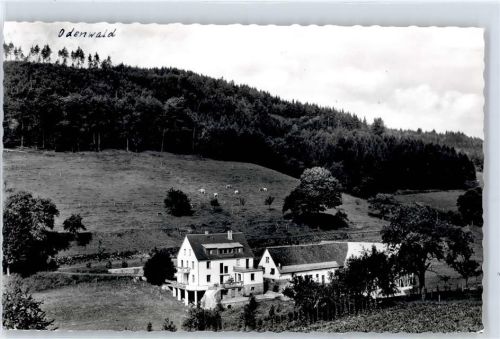 64759 W6121 Unter-Sensbach - Erholungsheim Haus Falkenberg