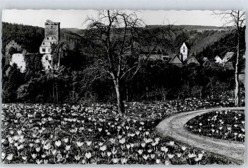 75385 W7264 Zavelstein