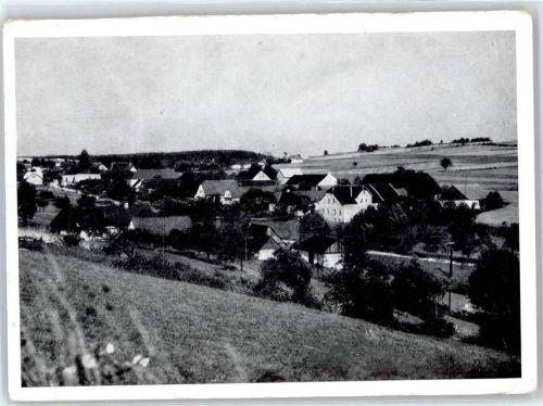 Sternberg Dohle
