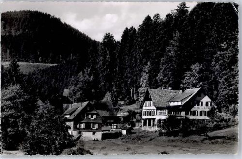 Hundsbach Gasthaus Pension zum Löwen