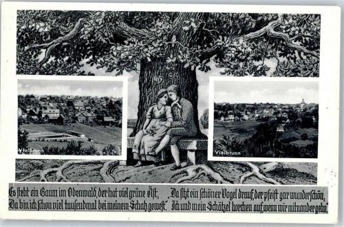 Vielbrunn Baum im Odenwald