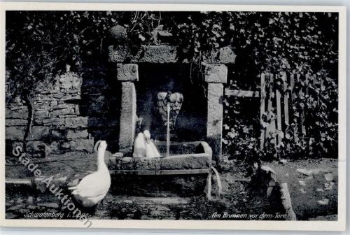 Schieder-Schwalenberg Am Brunnen vor dem Tore