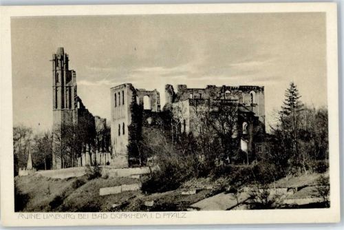 Bad Dürkheim Ruine Limburg