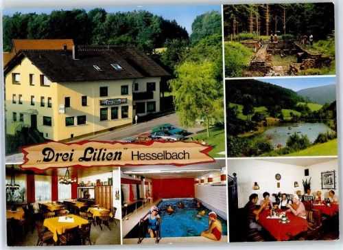 Hesselbach Gasthaus Pension Drei Lilien Schwimmbad