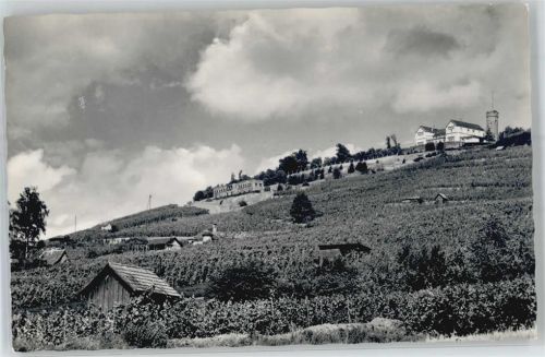 Heilbronn Wartberg und Weinberge