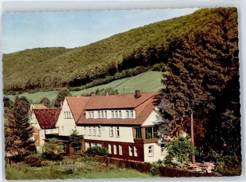 Lonau 1965 Hotel Lonauer Hof