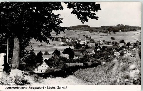 Saupsdorf