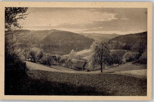 Beerfelden Partie im Steingrund