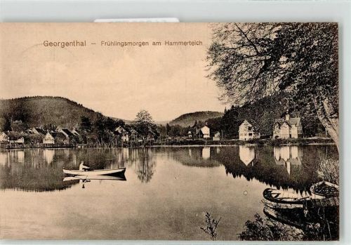 Georgenthal Frühlingsmorgen am Hammerteich