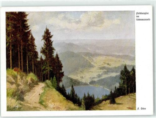 Dörr, F. Feldbergsee im Schwarzwald