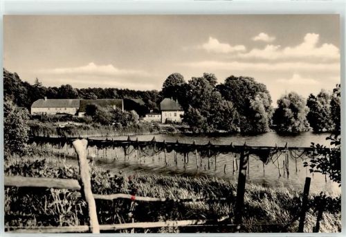 Binenwalde