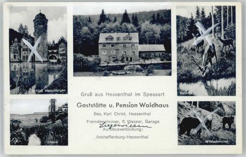Hessenthal Schloß Mespelbrunn Gasthaus Pension Waldhaus Rotwild Wildschweine