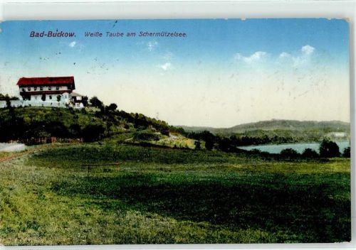 Buckow Weiße Taube am Schermützelsee