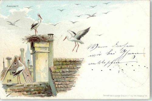 1898