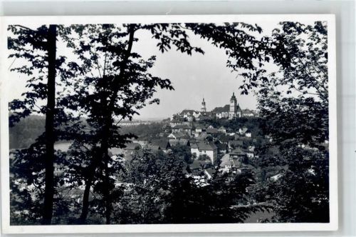 Nové Mesto nad Metuji Burg