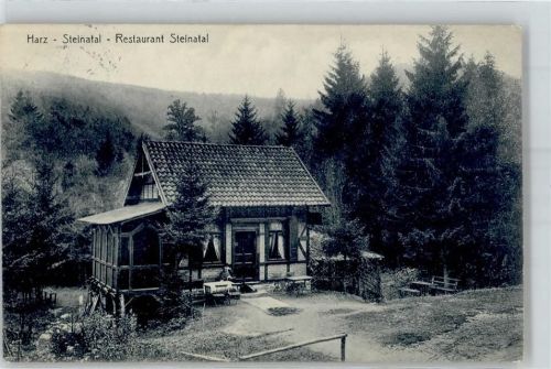Steinatal 1915 Gasthaus Harz