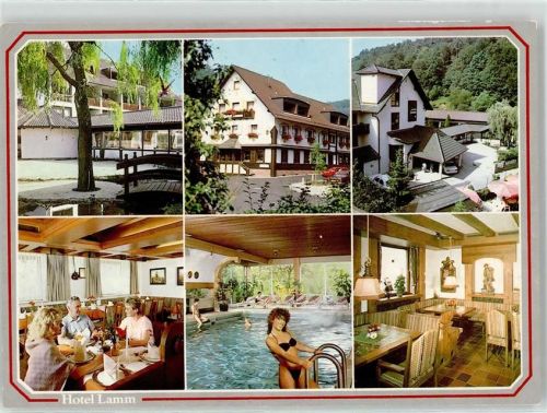 63872 W8751 Heimbuchenthal - Hotel Lamm
