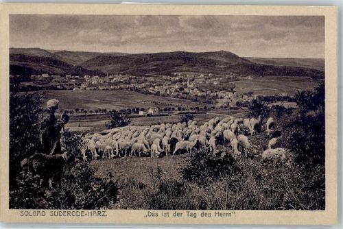 Bad Suderode Schäfer mit Herde
