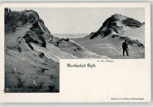 Sylt-Ost Dünen