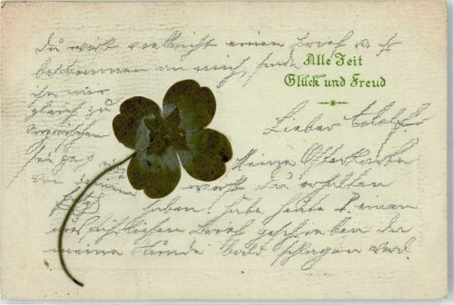 1902 Kleeblatt gepresste Blume