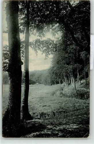 Waldidylle