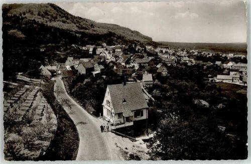 Dannenfels