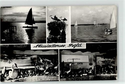 Neusiedl Neusiedlersee Segelboot Ausstellung