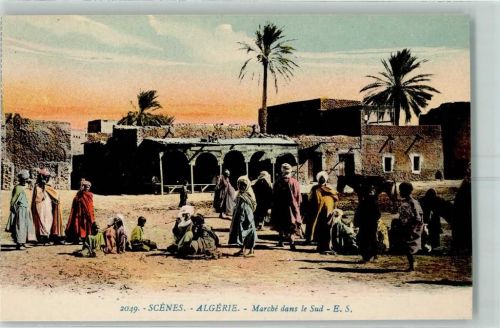 Alger Marche dans le Sud Palmen