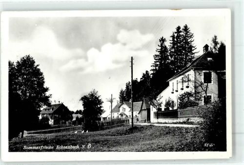 Echsenbach