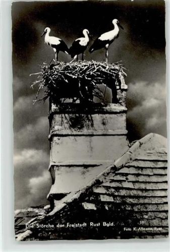 Rust Storchennest Schornstein Burgenland
