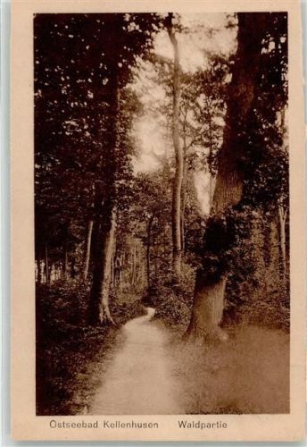 Kellenhusen Waldpartie