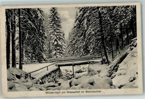 Bad Flinsberg Swieradow-Sdroj - Schlesien Winter Schnee Wasserfall Brücke Isergebirge