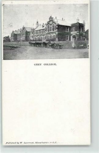 Grey College