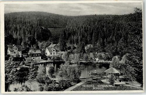 Triberg Bergsee