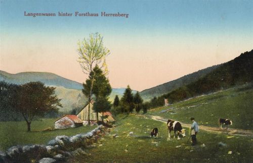 Metzeral Forsthaus