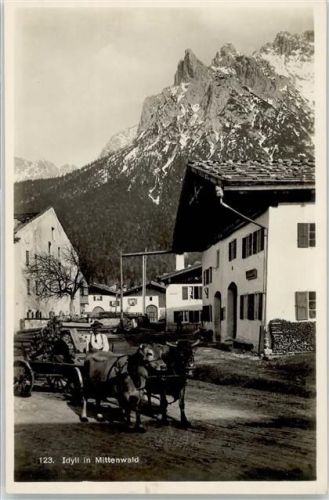 Mittenwald Dorfidyll Ochsengespann