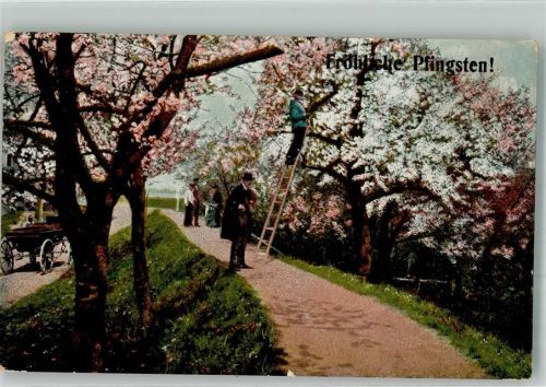 Jork 1911 Frühlingsstimmung Altenlande