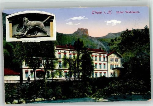 Thale Hotelrelief Hotel Waldkater