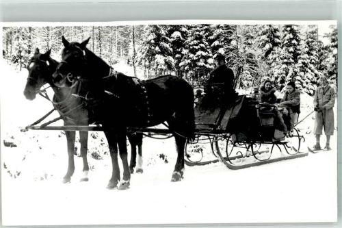 Schierke 1931 Winter Pferdeschlitten Ort handschriftlich Foto Original aus Archiv eines Ansichtskartenverlages
