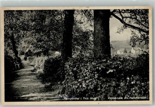 Georgenthal Am Hammerteich