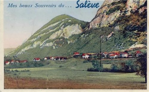 Saleve (Frankreich) Leporello I-II (fleckig RS)