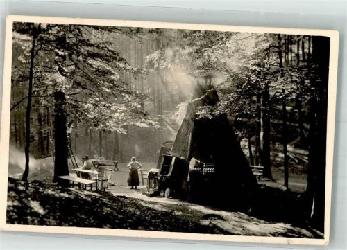 Tharandt Köhlerhütte im Wald