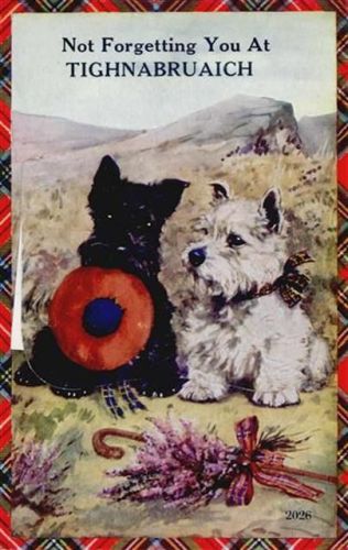 Tighnabruaich Tighnabruaich (Großbritannien) Leporello, Hund I-II