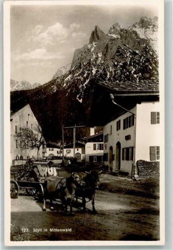 Mittenwald 1941 Von Rindern gezogene Kutsche im Dorf vor Alpenpanorama Fotograf Rudolf Rudolphi