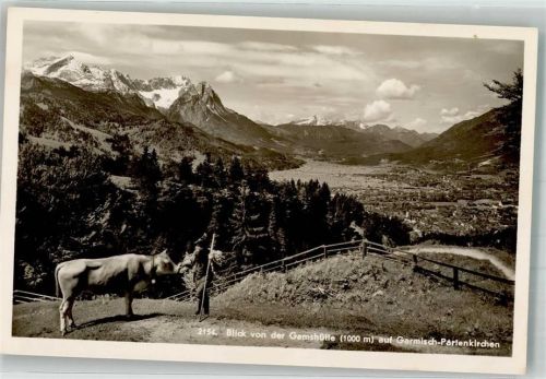 Gamshütte Weidende Kuh oberhalb von Garmisch-Partenkirchen Fotograf Johannes Hüttenstempel