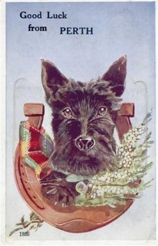 Perth Perth (Großbritannien) Leporello, Hund II- (minimaler Einriss, fleckig RS, Stauchung)