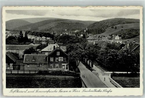Seesen Lautenthaler Straße