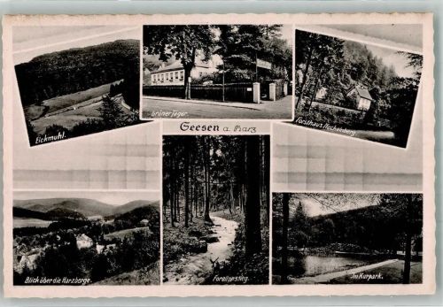 Seesen Eickmuhl Harzberge Forellenstieg Gasthaus Grüner Jäger Kurpark Forsthaus Neckelnberg Verlag Thoericht Nr. 17511