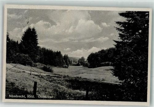 51588 W5223 Nümbrecht 1941 Foto AK