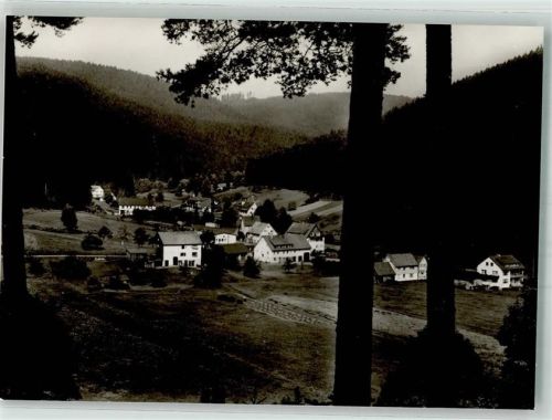 Enzklösterle Panorama des Ortsteiles Rohnbach